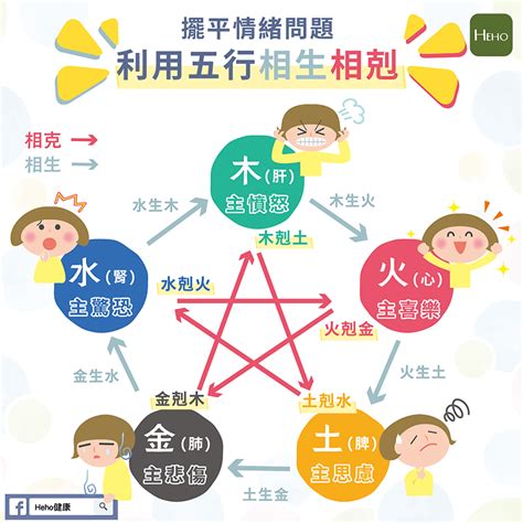 五行對應器官|五行與身體五臟的關係，養生必備的中醫知識